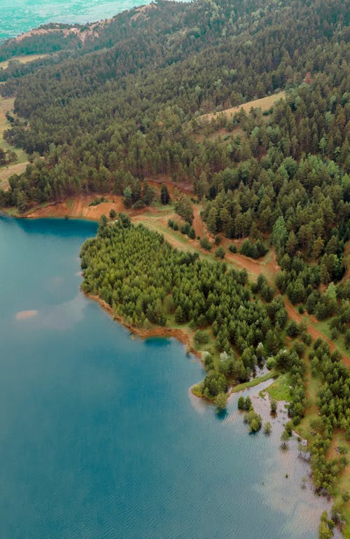 Foto profissional grátis de beira do lago, floresta, fotografia aérea