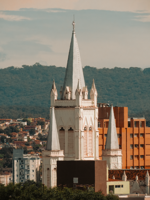 rio claro x pinheiros