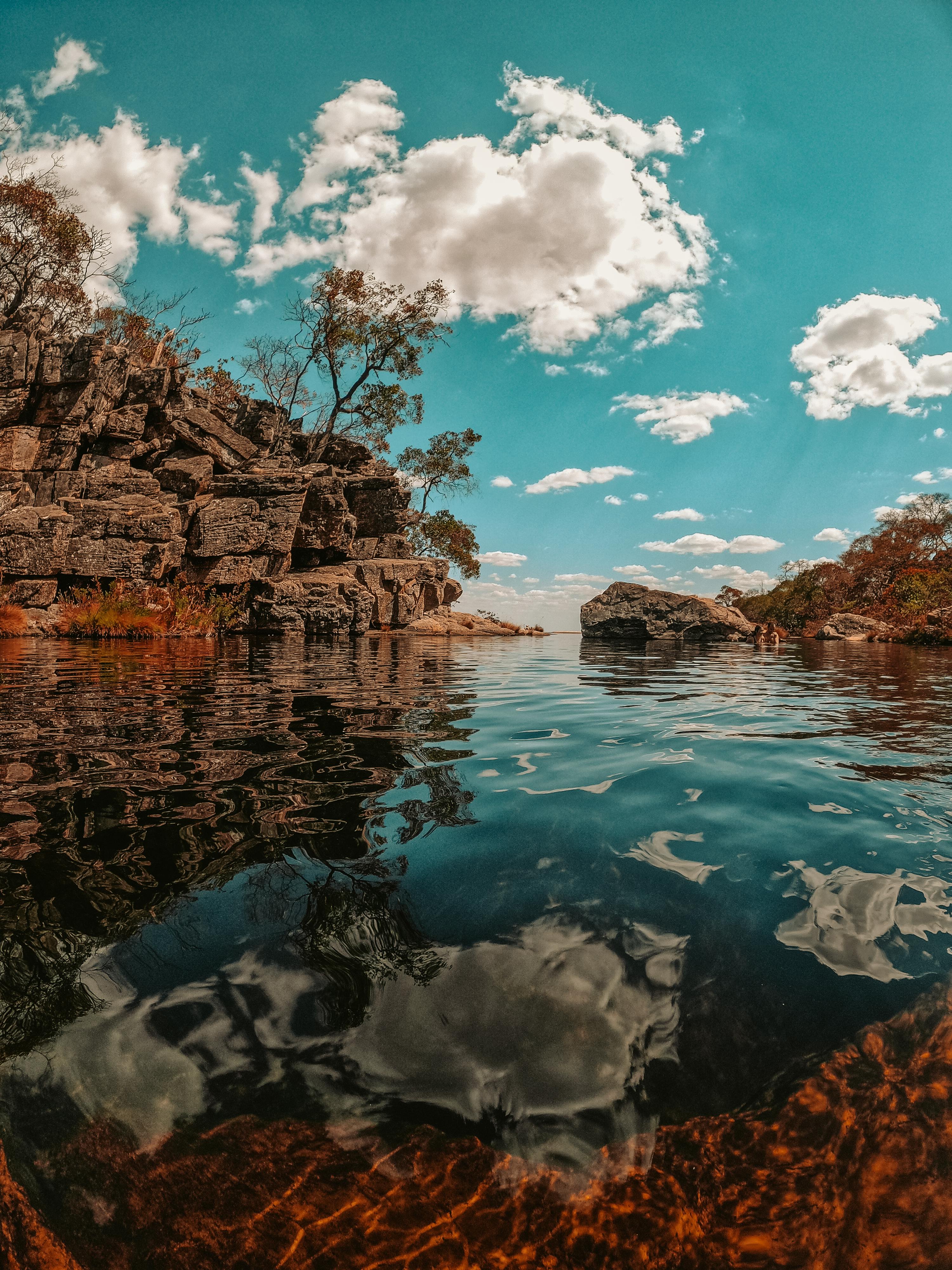 Does lemon water clean you out?