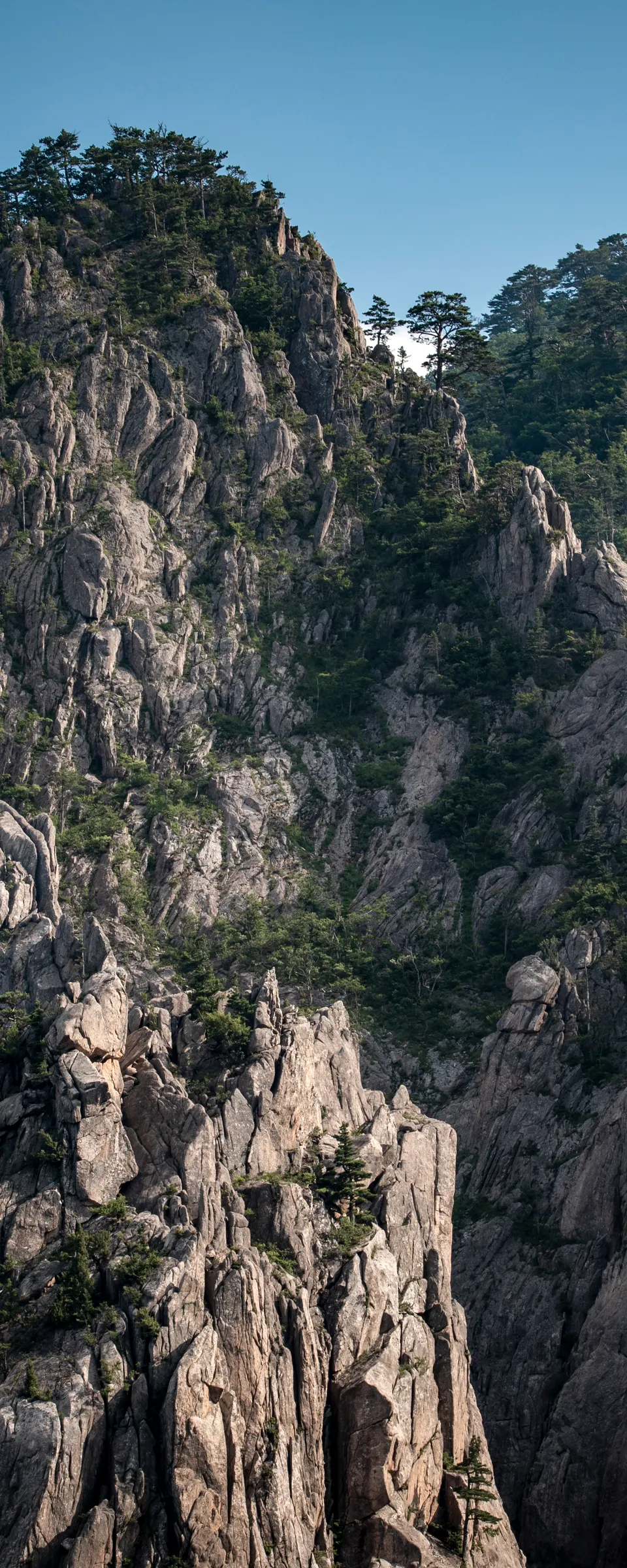 Seoraksan, East DMZ and Sokcho Private Day Tour from Seoul