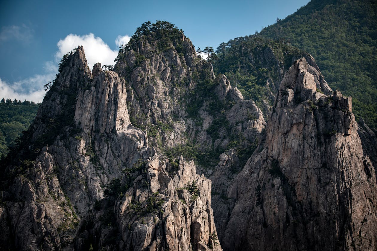 Mountain hiking trail with lush green scenery in South Korea