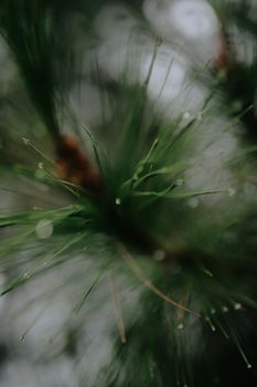 Image by Doci