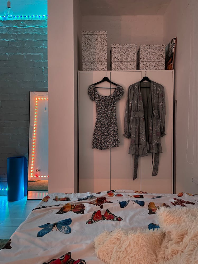 Dresses Hanging On A Closet Door 