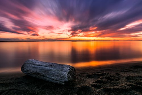 Free Photo of Seashore at Golden Hour Stock Photo