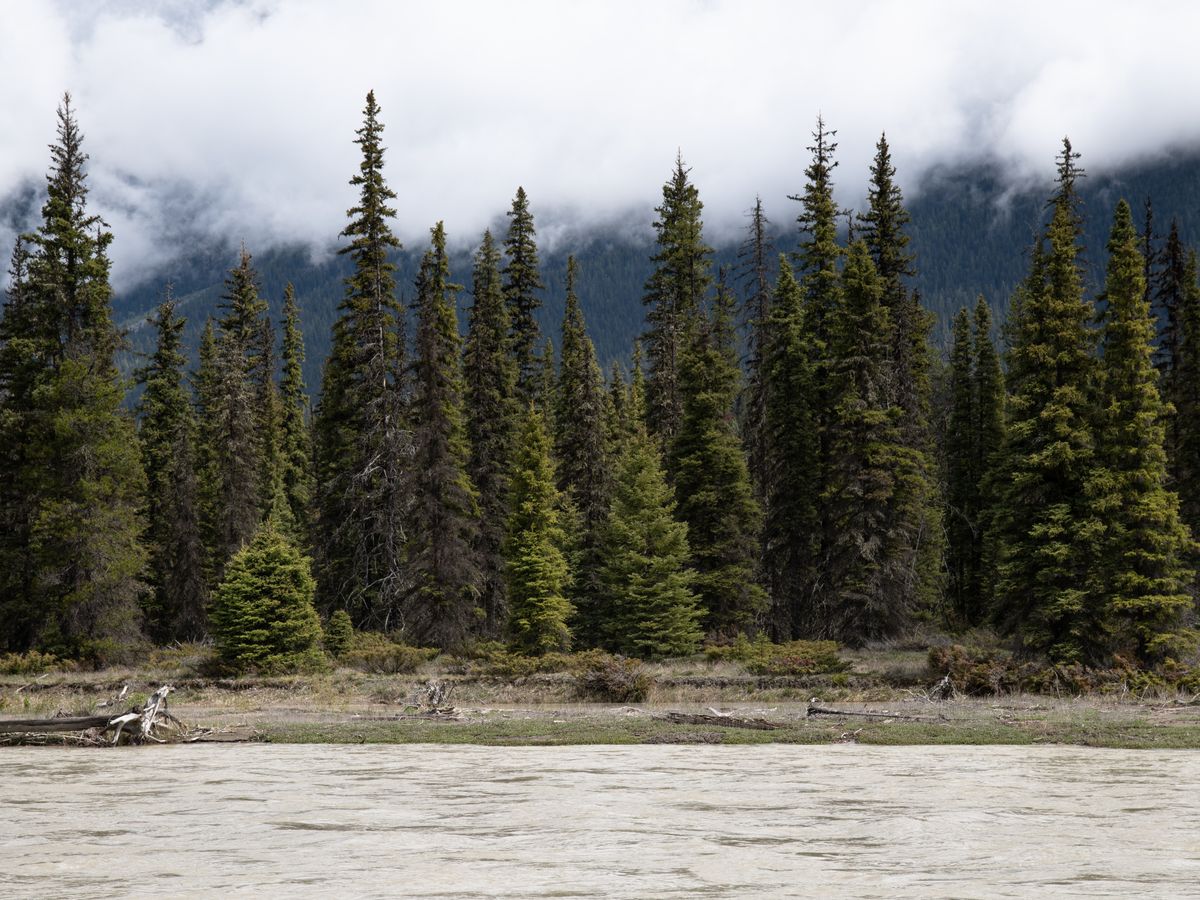 5 Day Yoga Retreat & Nature Adventure in British Columbia, Canada 2