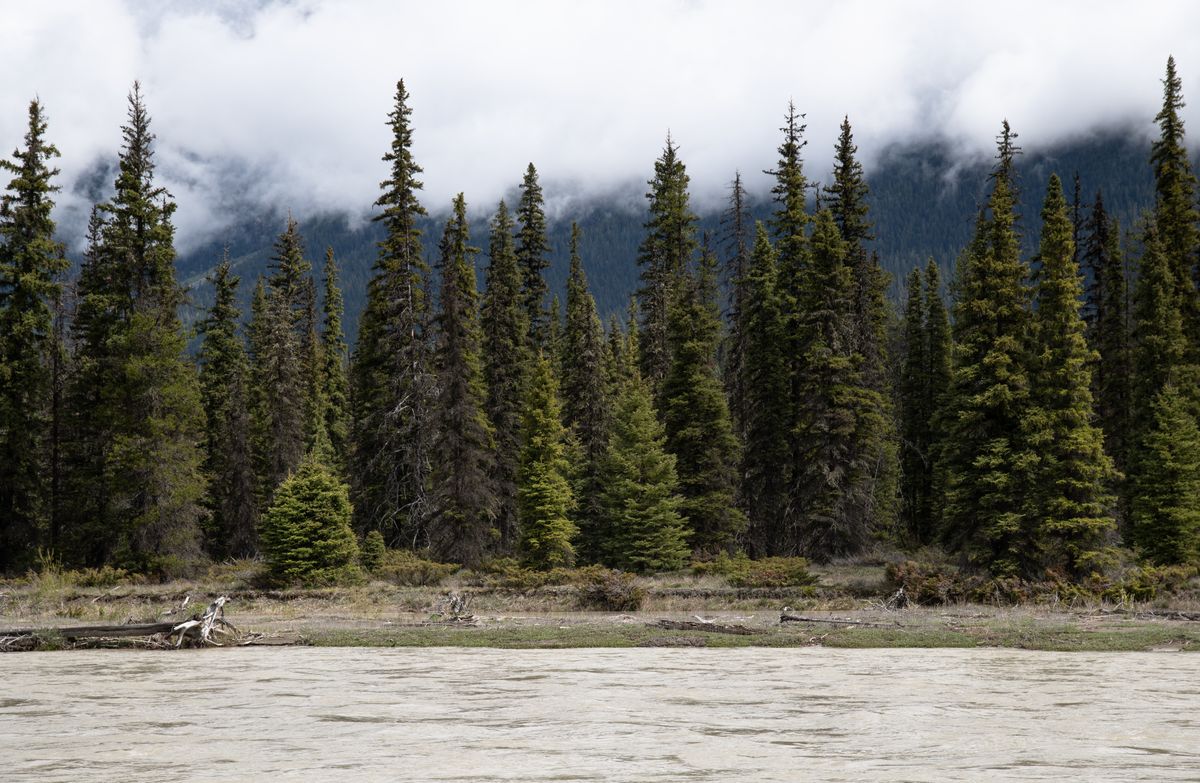 A wild river running through remote Canadian wilderness