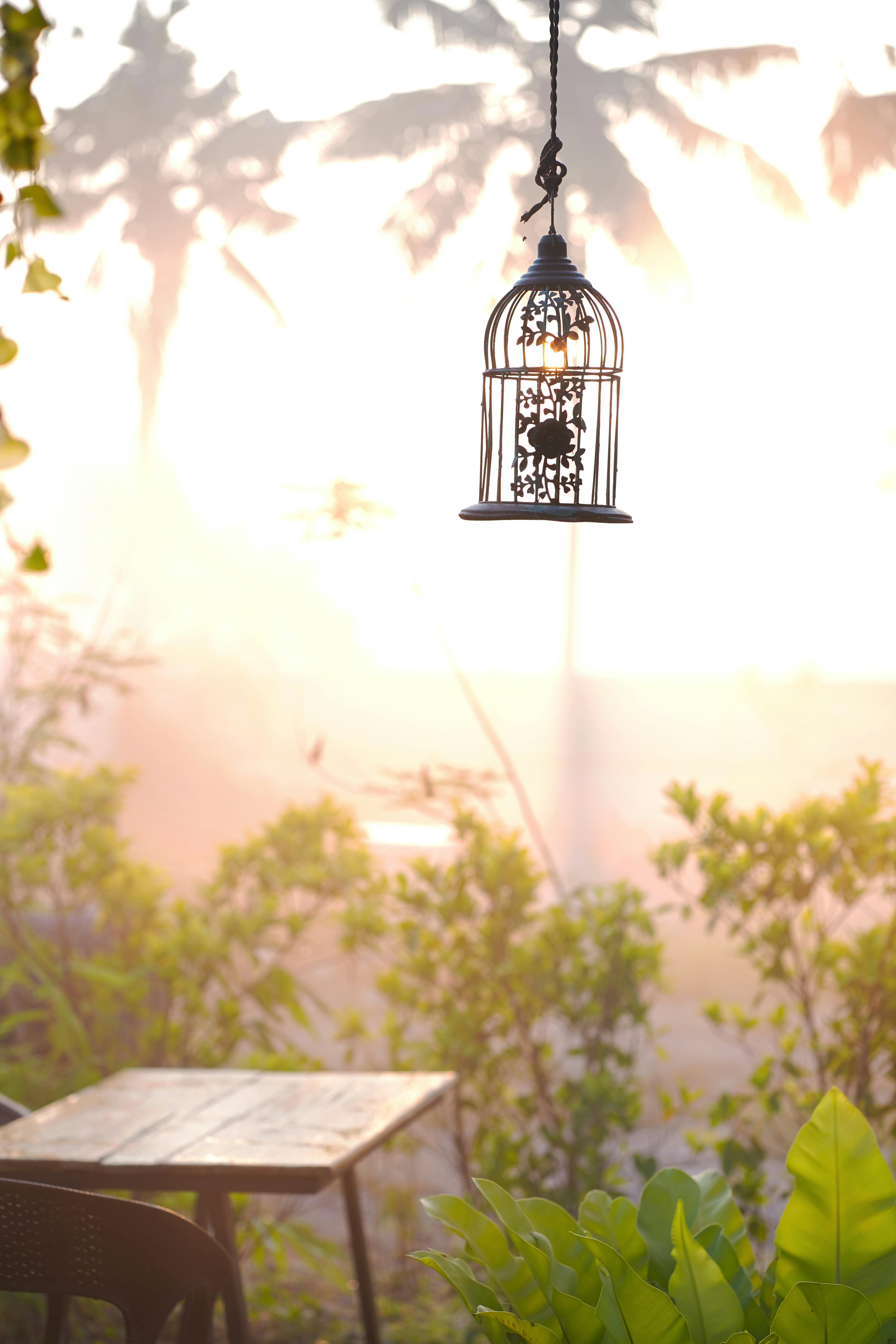 A serene outdoor space featuring a hanging ornamental lantern and lush greenery at dawn.
