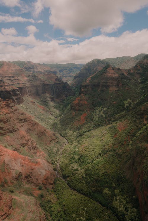 Vegetation in Valley