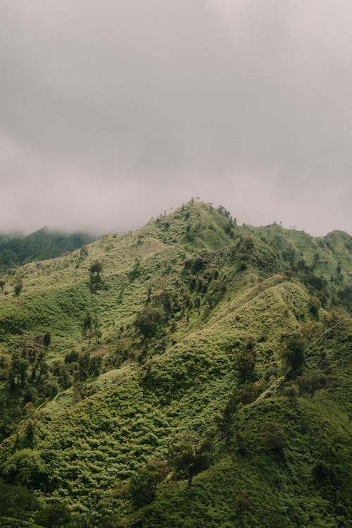 Fotos de stock gratuitas de al aire libre, con niebla, montaña verde