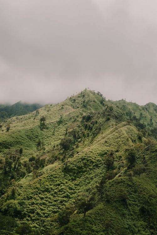 Green Mountain Under White Clouds