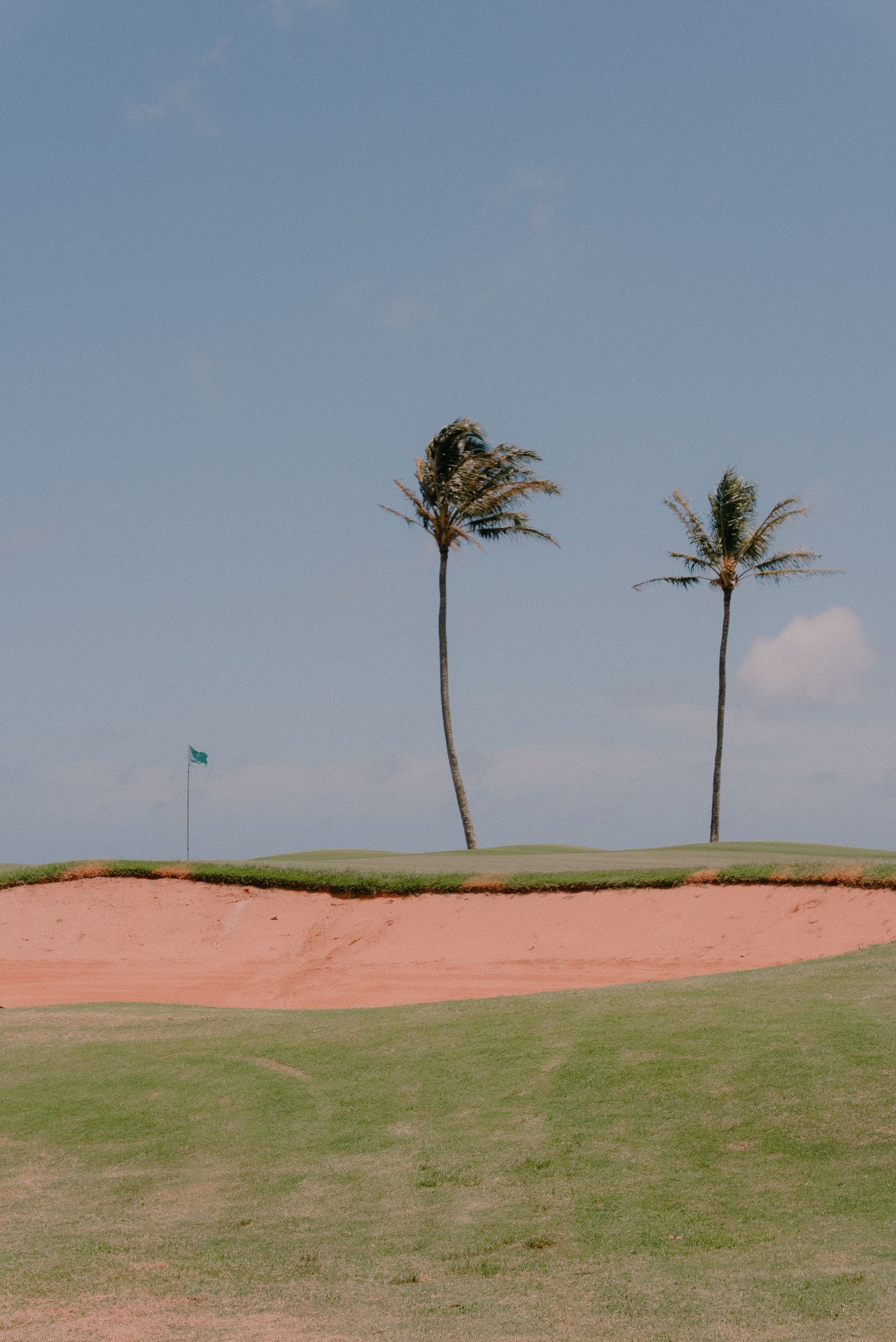 Flag on a palm-lined Florida golf green