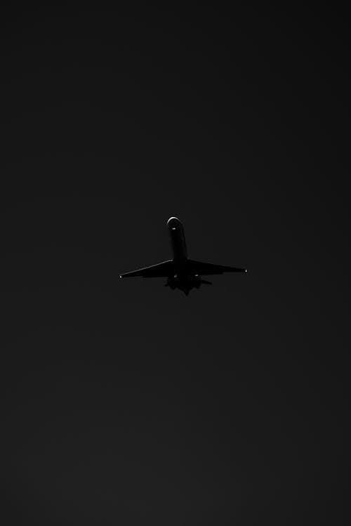 Grayscale Photo of an Airplane in the Sky