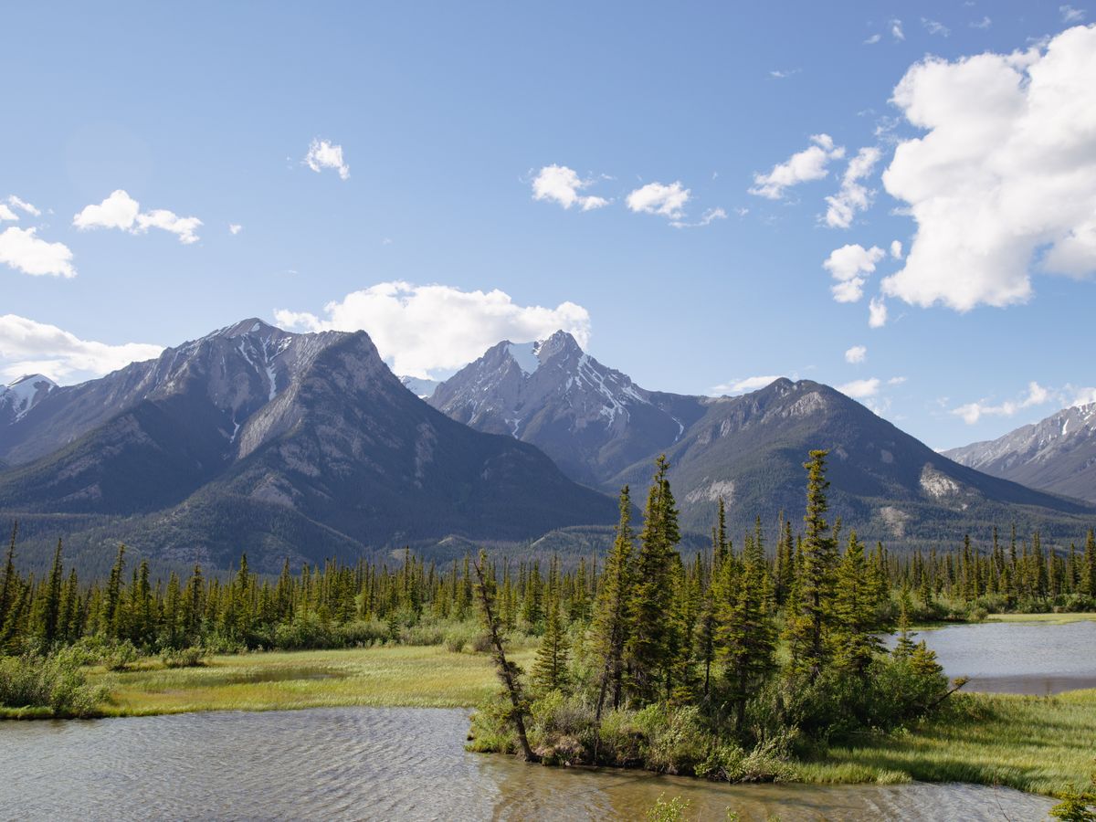 5 Day Yoga Retreat & Nature Adventure in British Columbia, Canada 3