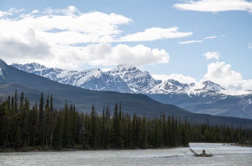 Ingyenes stockfotó Alberta, banff nemzeti park, fák témában