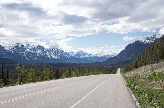 Beautiful scenic road leading to snow-capped mountains in Alberta, Canada under a clear sky.