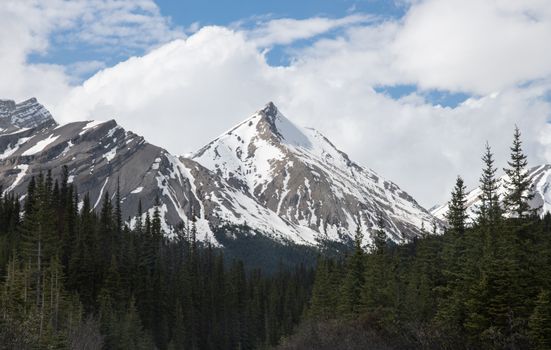 Breathtaking view of a snow-capped mountain surrounded by dense pine forest under a cloudy sky.