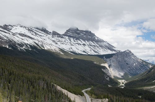 Бесплатное стоковое фото с Альпы, вечнозеленый, Высота