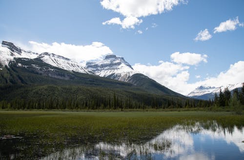 Green Grass Field Near Lake and Snow Covered Mountain