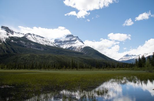 Stunning view of snow-capped Rocky Mountains with lush forest and lake reflection in Alberta, Canada.