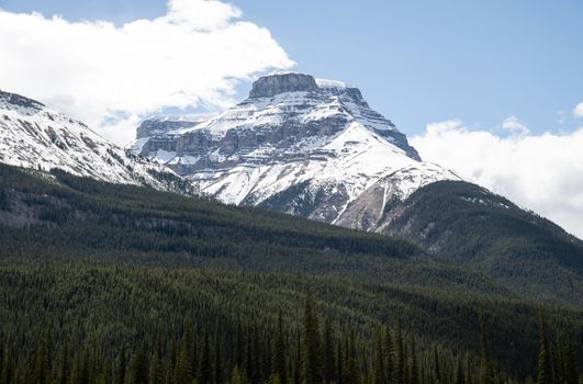 Stunning snowcapped mountain range in Alberta with lush green forests and clear blue sky.