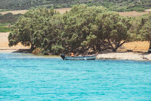 White and Blue Boat on Blue Sea