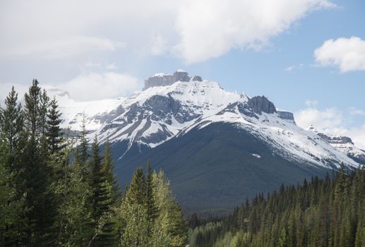 Majestic snow-capped mountains and lush forest under a bright sky.
