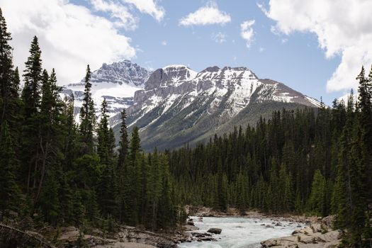 Majestic snow-capped mountains and lush evergreen forests in Alberta's breathtaking landscape.