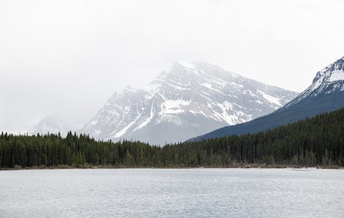 Mountain with Snow Near Green Trees