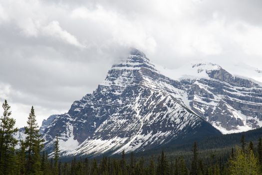 Stunning view of Castle Mountain with snow and forest in Alberta, Canada.