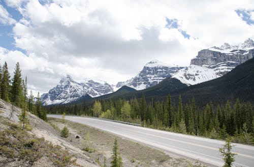 Free Gray Road Between Green Trees and Snow Covered Mountains Stock Photo