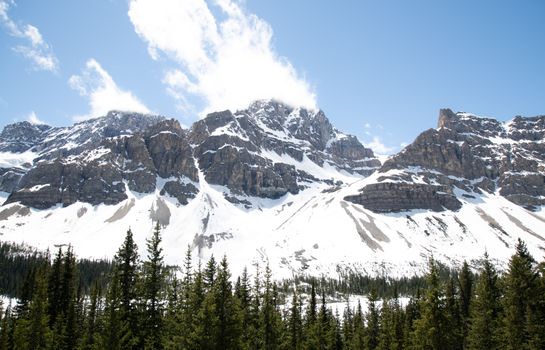 Stunning view of snow-covered Rockies in Alberta, Canada, with lush evergreen forest below.