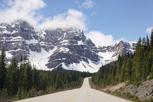 A picturesque mountain road leading through a snow-capped forest under a clear blue sky.