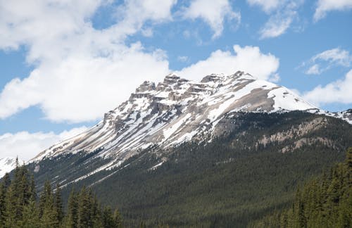 Δωρεάν στοκ φωτογραφιών με βουνό, γαλάζιος ουρανός, δασικός Φωτογραφία από στοκ φωτογραφιών
