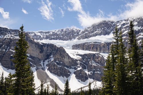 Free Breathtaking view of snow-covered rocky mountain peaks with a vibrant pine forest. Stock Photo