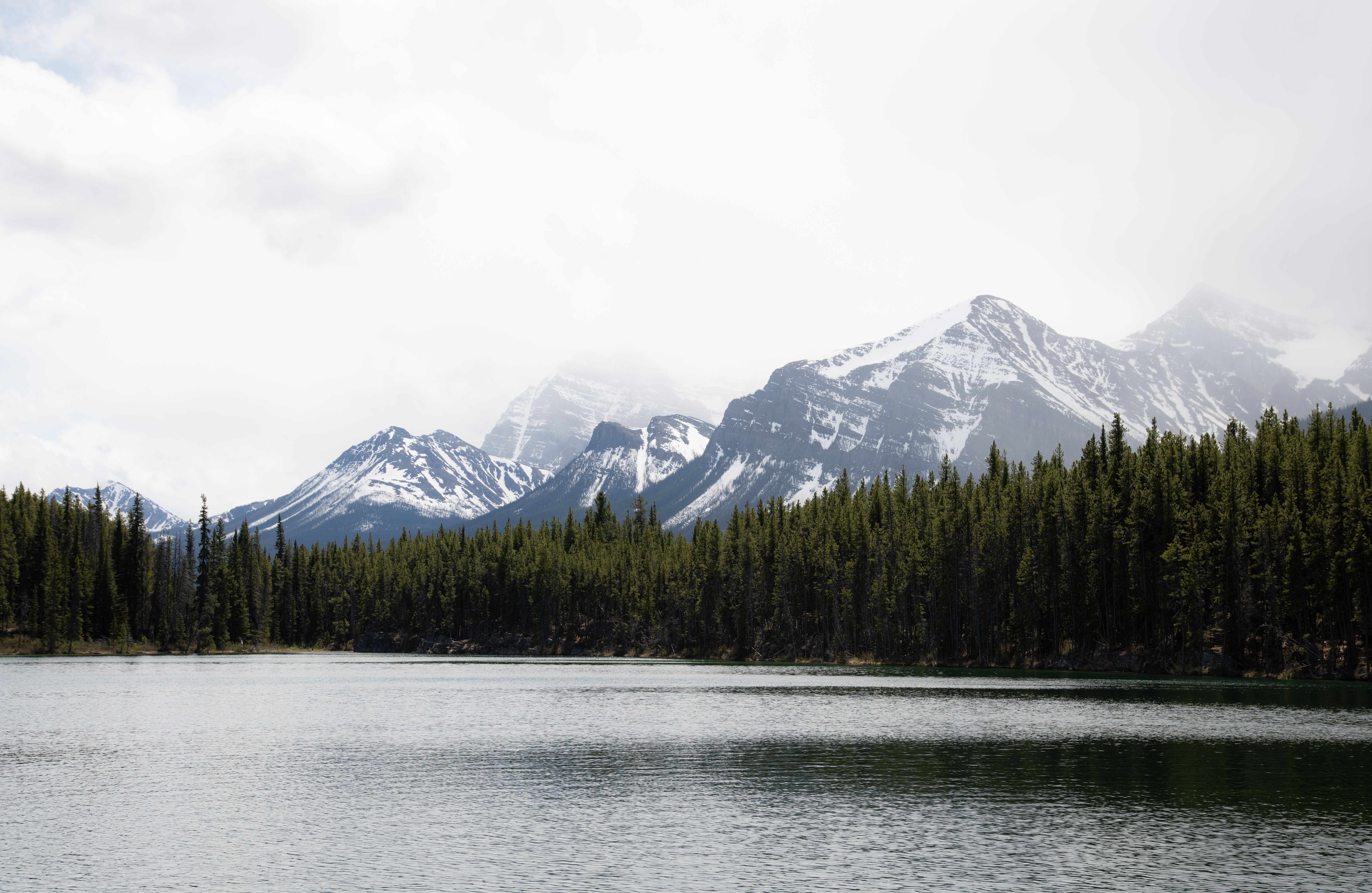 4 Day Inner Healing & Wellness Retreat in Bragg Creek, Canada 3