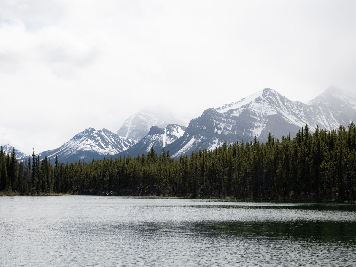 4 Day Inner Healing & Wellness Retreat in Bragg Creek, Canada 3