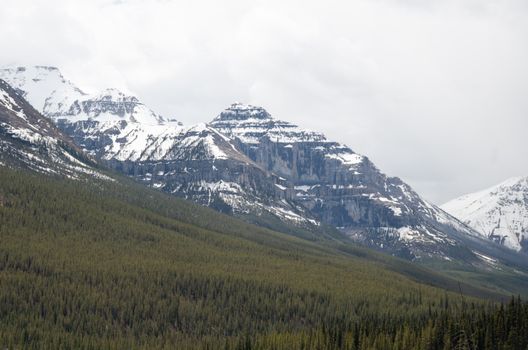 Breathtaking view of snow-covered mountains and lush green forest under an overcast sky, perfect for nature lovers.