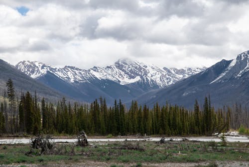 Landscape of Rocky Mountains and Conifer Forest in the Valley 