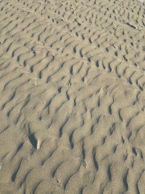 Sand Dunes