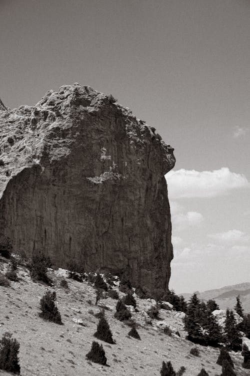 A Grayscale of a Rocky Mountain