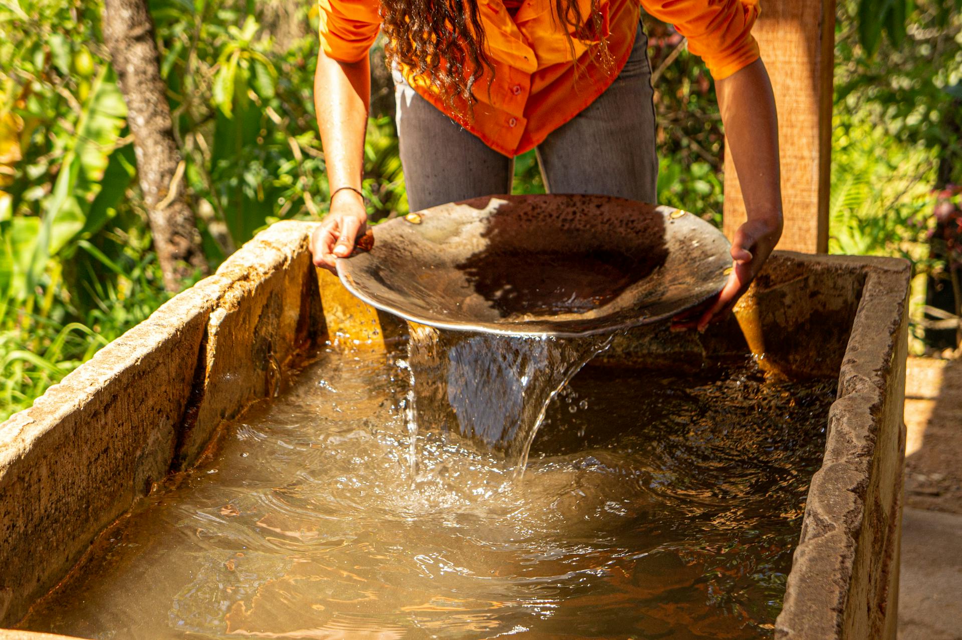 Person gold panning with traditional methods, sifting water in a sunny outdoor setting.