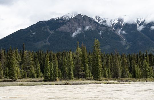 Serene landscape photograph of a Canadian mountain with lush forest and riverbank, perfect for nature-themed projects.