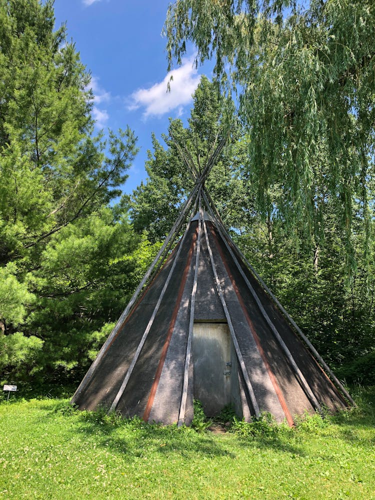 Trees Around A Tipi Tent