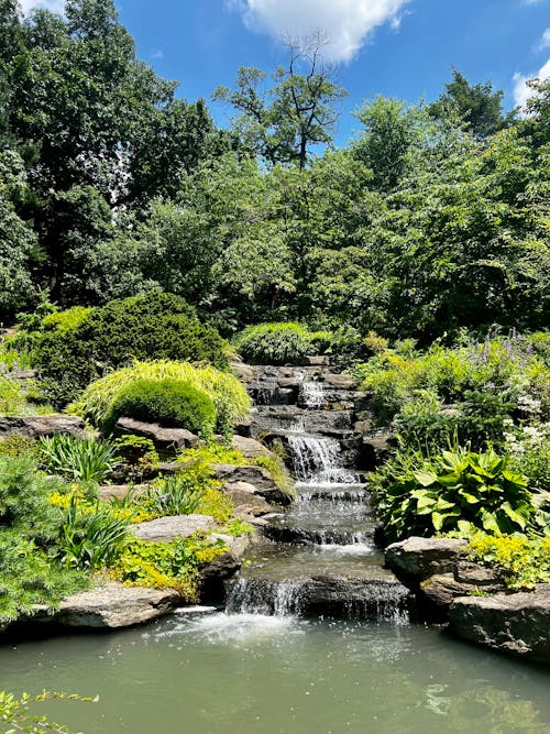 Cascade in the Rock Garden, New York Botanical Garden