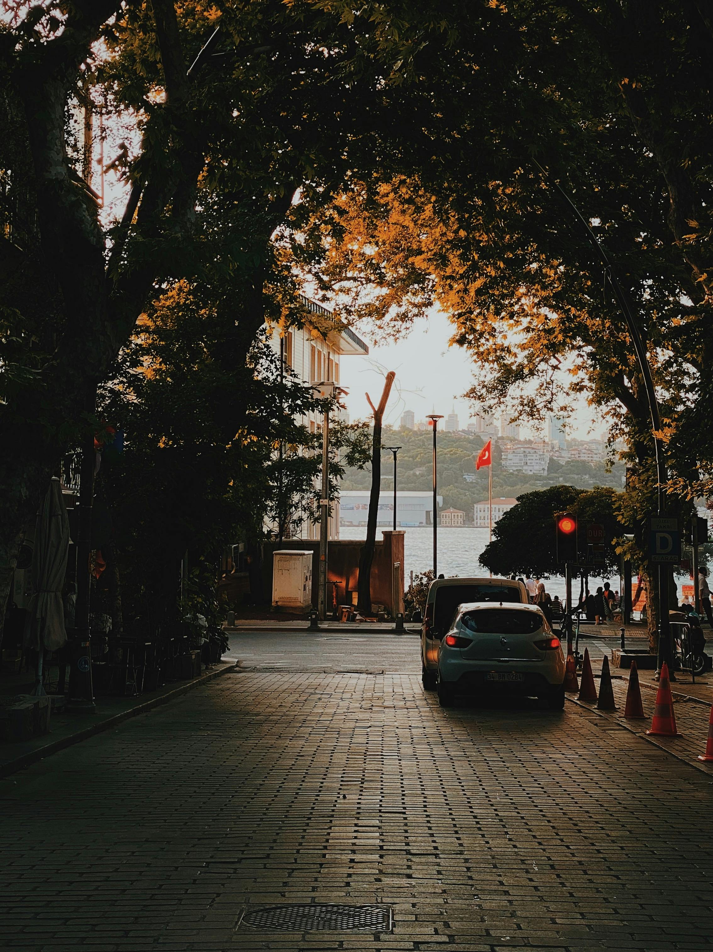 Gratuit Photos gratuites de arbres, architecture, architecture historique Photos