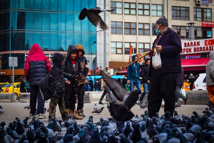 People And Pigeons At A Park