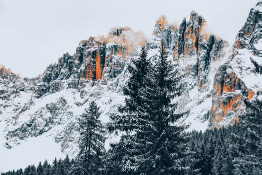 Breathtaking view of snow-covered mountains and evergreen trees under a cloudy winter sky.