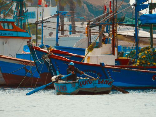 Free stock photo of boats, fishing boat, lima Stock Photo