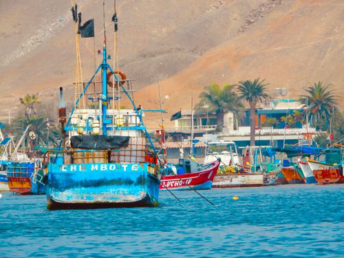 Free stock photo of boat, desert plants, fishing boat Stock Photo
