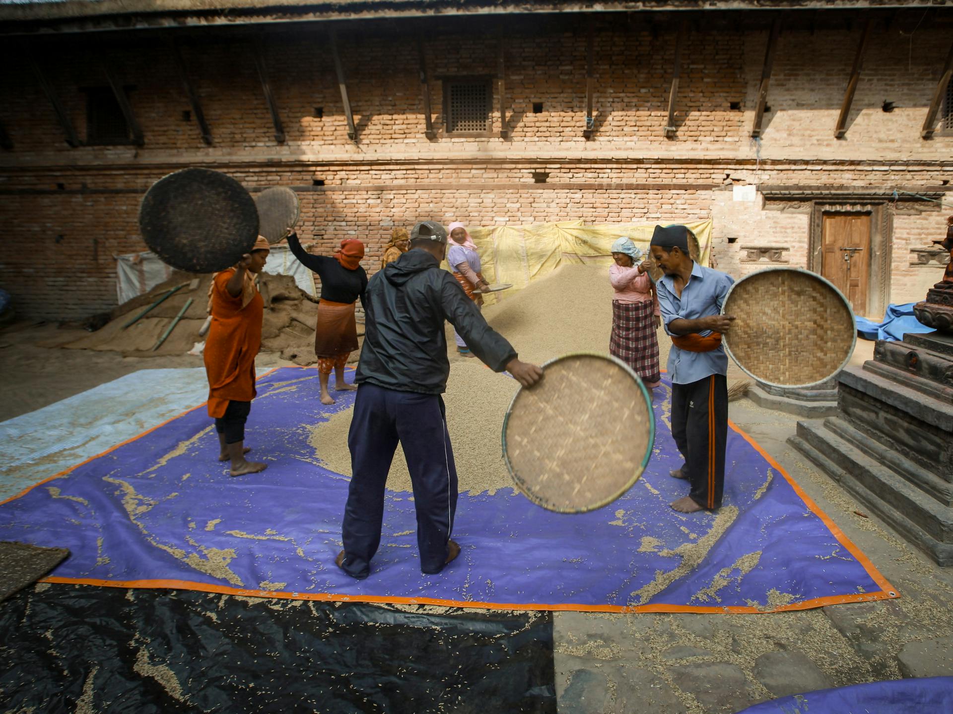 Workers sort grains using traditional methods outdoors in an Asian village street.